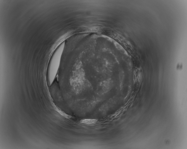 X0000097760051200803281643