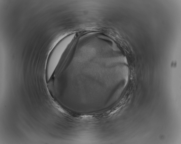 X0000097760052200803281643