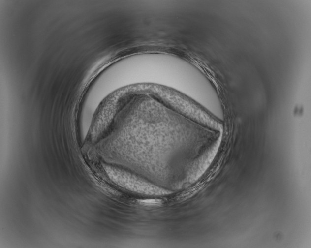 X0000097760053200803281643