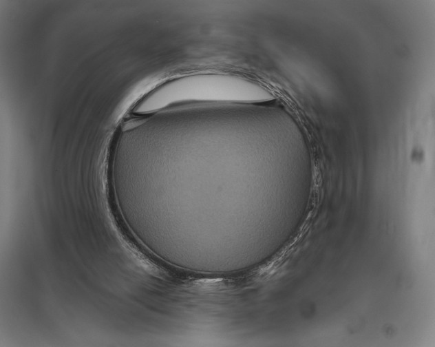 X0000097760054200803281643