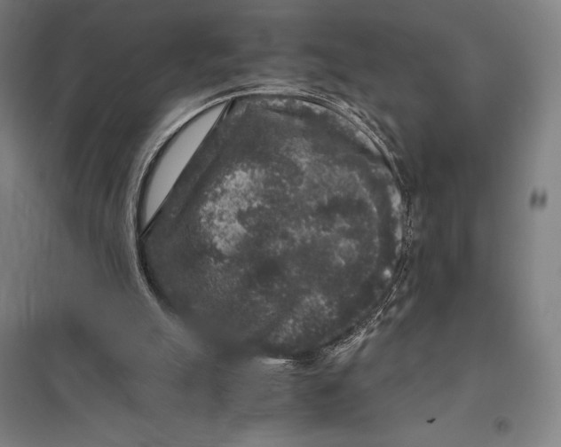 X0000097760055200803281643