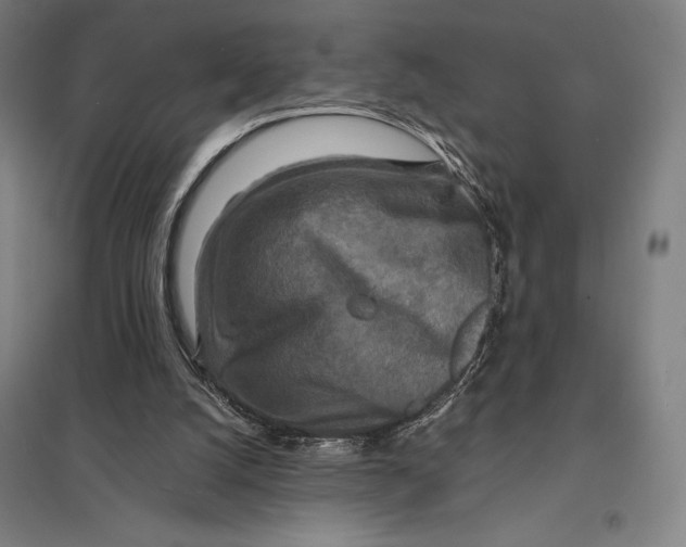 X0000097760056200803281643