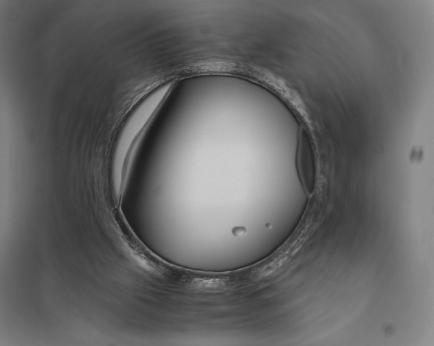 X0000097760057200803281643