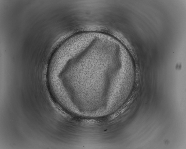 X0000097760058200803281643