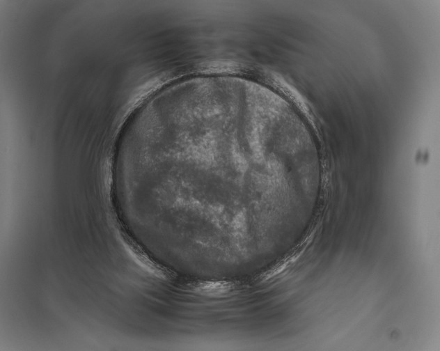 X0000097760059200803281643