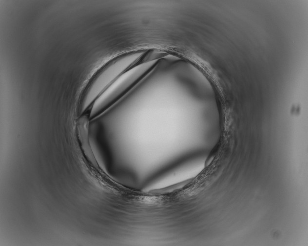 X0000097760060200803281643