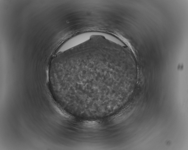 X0000097760061200803281643