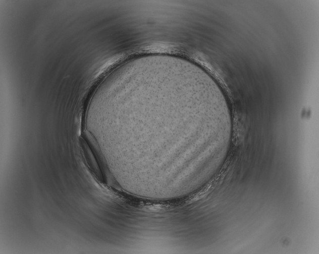 X0000097760062200803281643