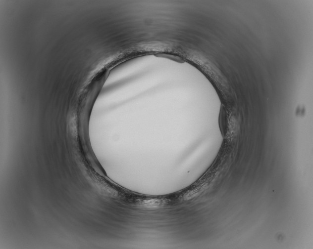 X0000097760064200803281643