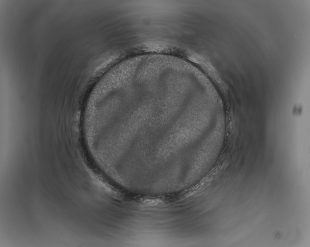 X0000097760066200803281643