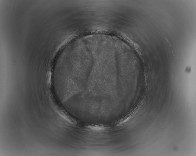 X0000097760067200803281643