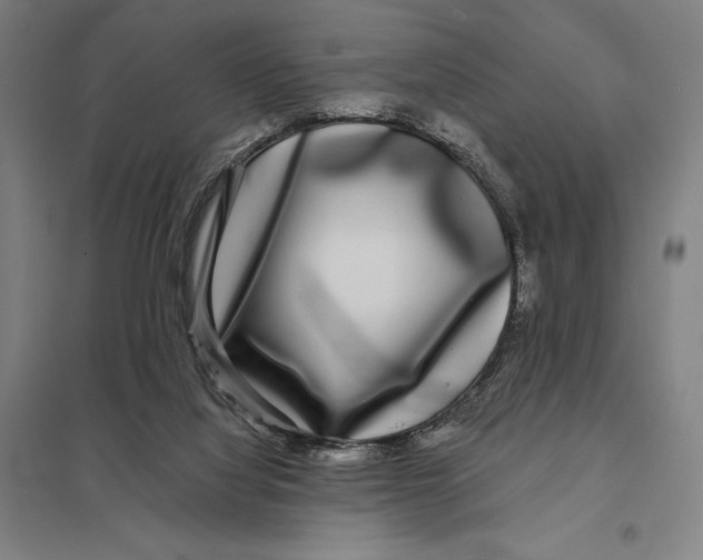 X0000097760068200803281643