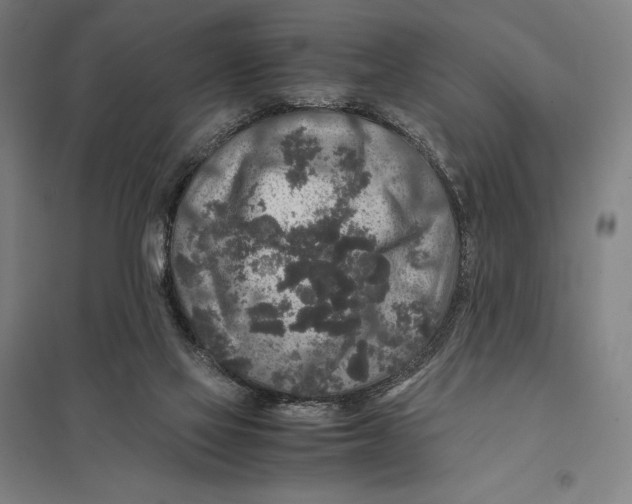 X0000097760069200803281643