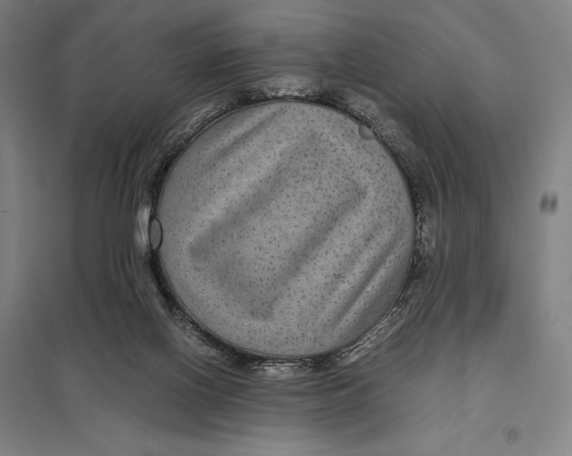 X0000097760070200803281643