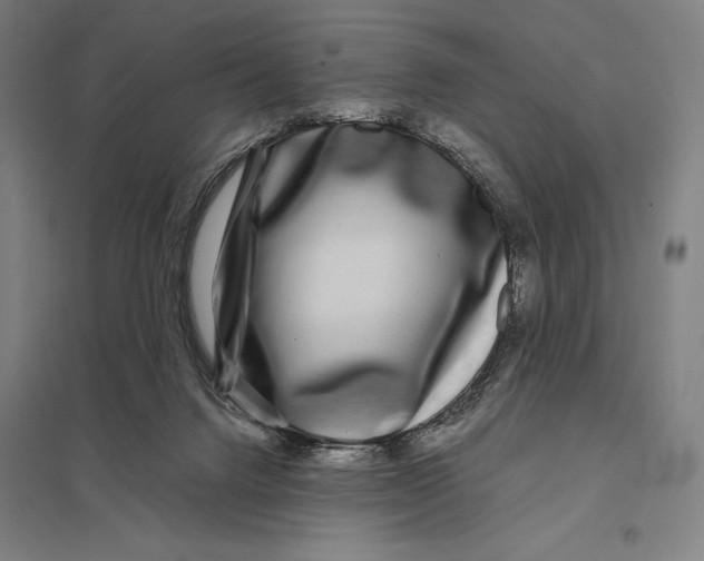 X0000097760072200803281643