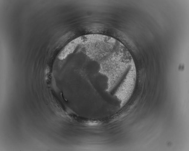 X0000097760073200803281643