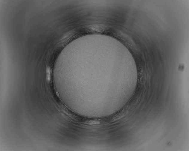 X0000097760075200803281643