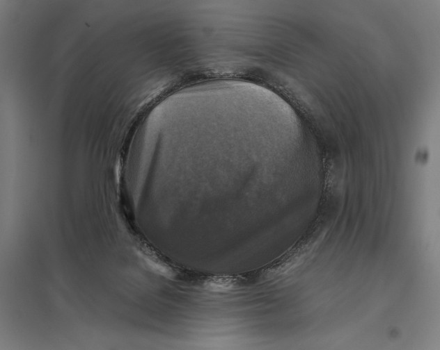 X0000097760076200803281643