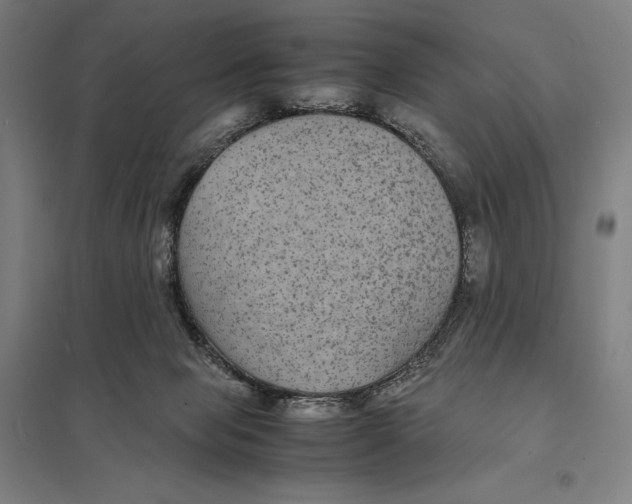 X0000097760077200803281643