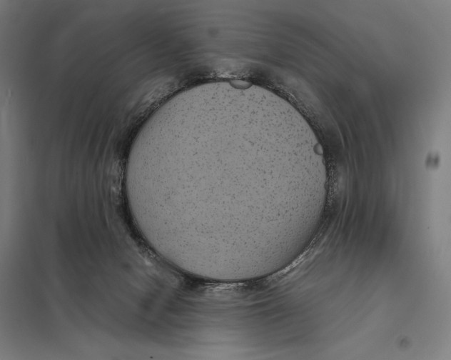 X0000097760078200803281643