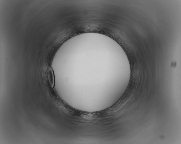 X0000097760079200803281643