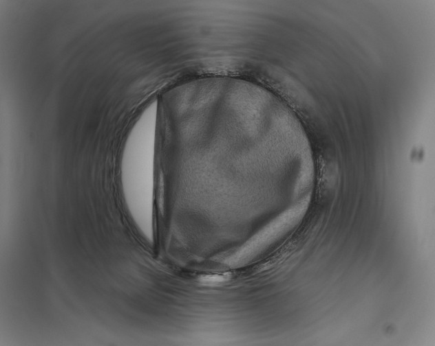 X0000097760080200803281643