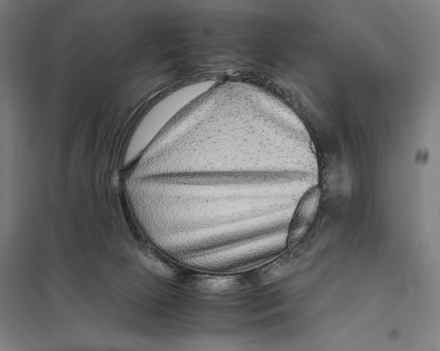 X0000097760081200803281644