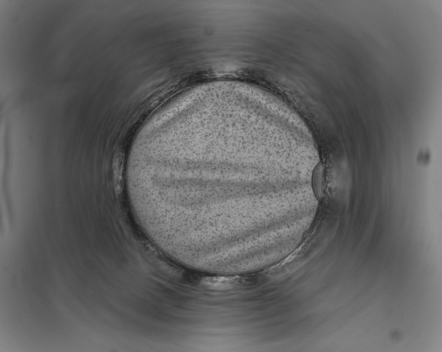 X0000097760082200803281644