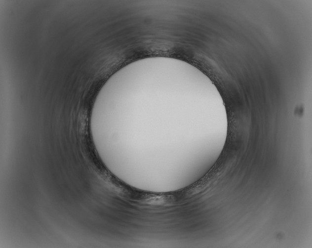 X0000097760083200803281644