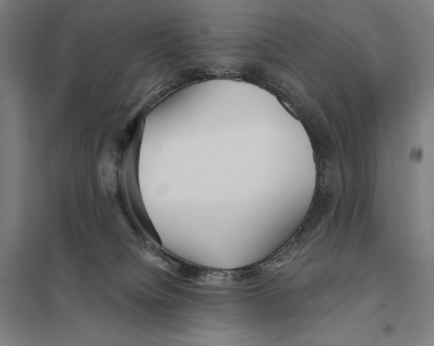 X0000097760084200803281644