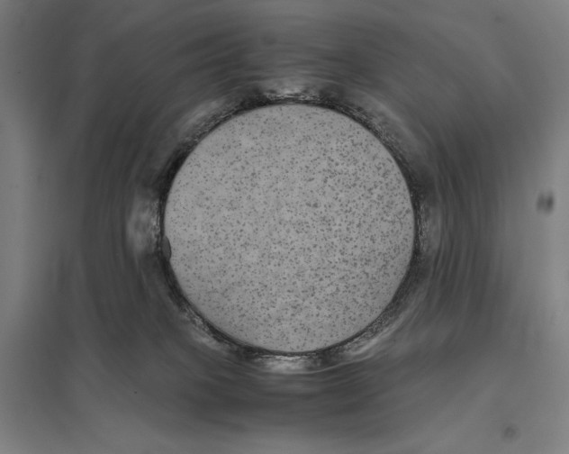 X0000097760085200803281644