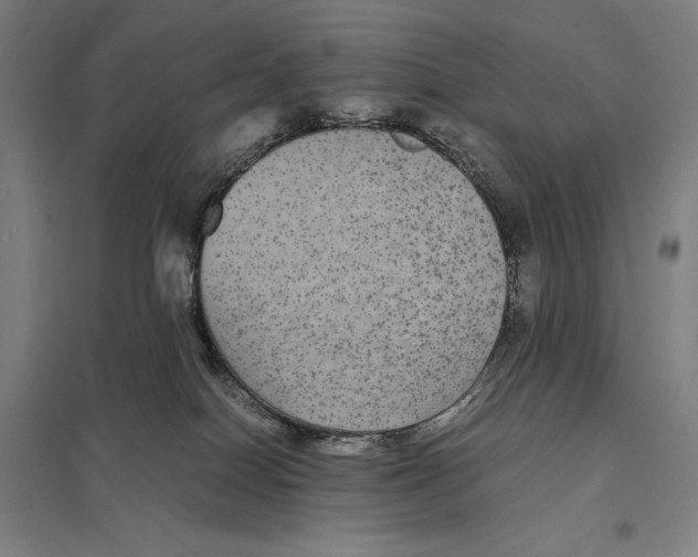 X0000097760086200803281644