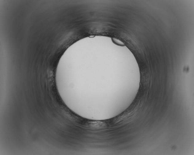 X0000097760087200803281644