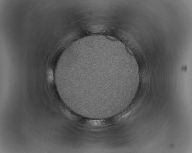 X0000097760089200803281644