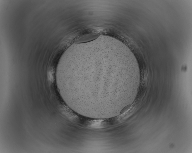 X0000097760090200803281644