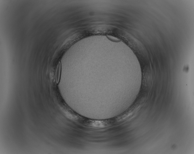 X0000097760091200803281644