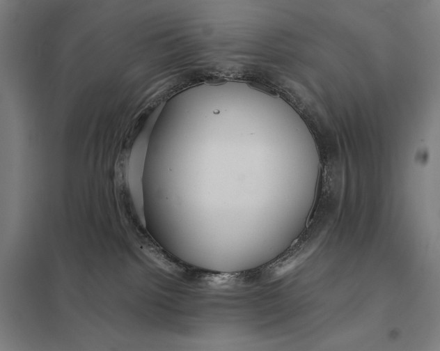 X0000097760092200803281644