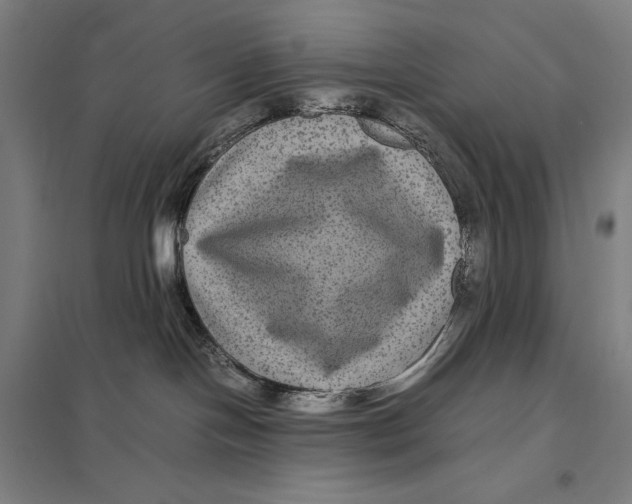 X0000097760094200803281644