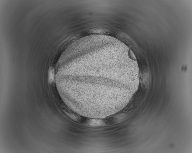 X0000097760095200803281644