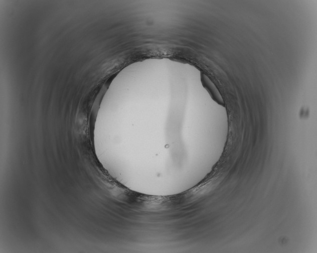 X0000097760096200803281644