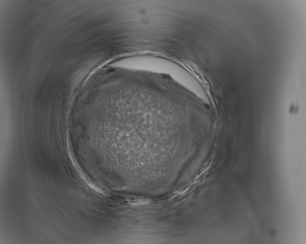 X0000097760097200803281643