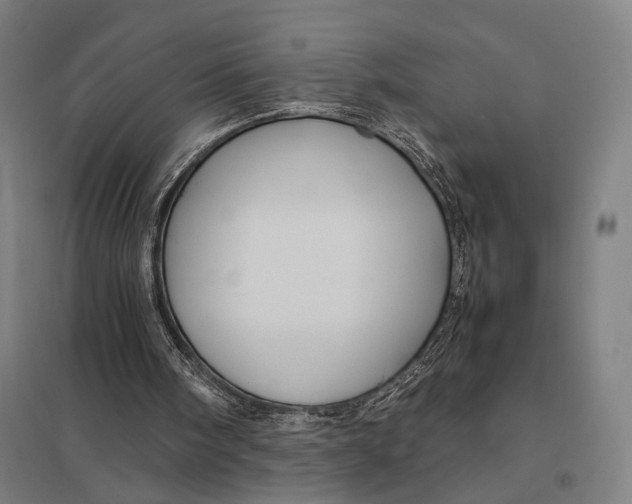 X0000097760098200803281643