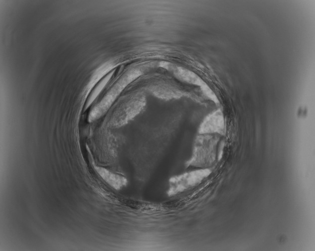 X0000097760099200803281643