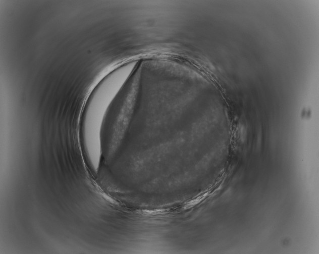 X0000097760100200803281643