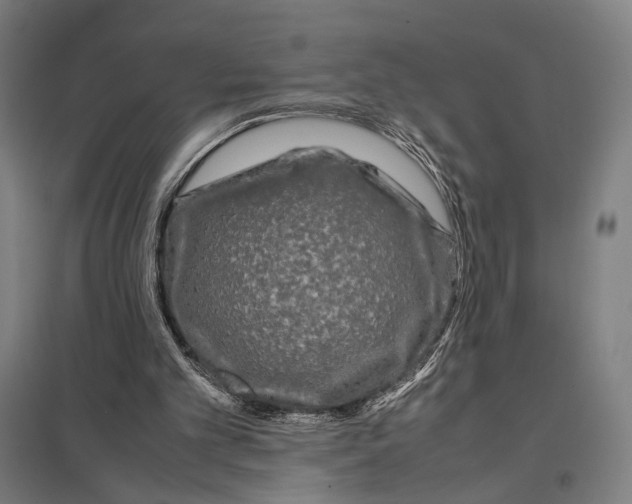 X0000097760101200803281643