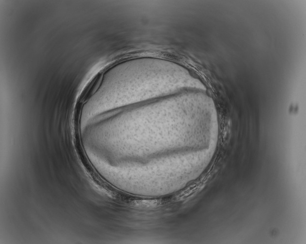 X0000097760102200803281643