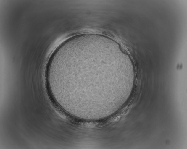 X0000097760103200803281643