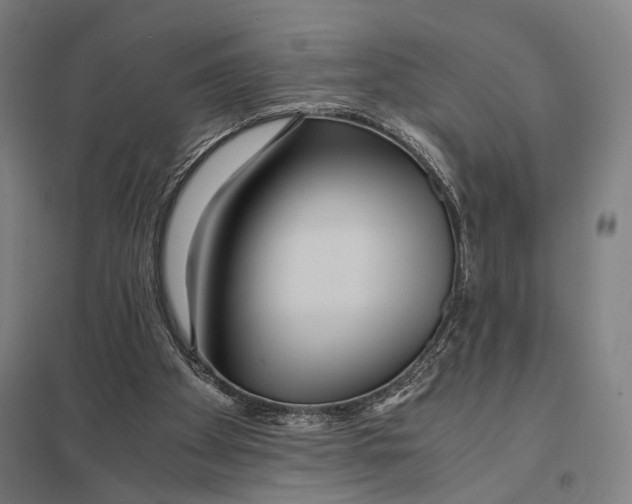 X0000097760105200803281643