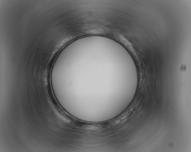 X0000097760106200803281643