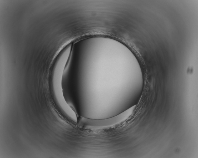 X0000097760108200803281643